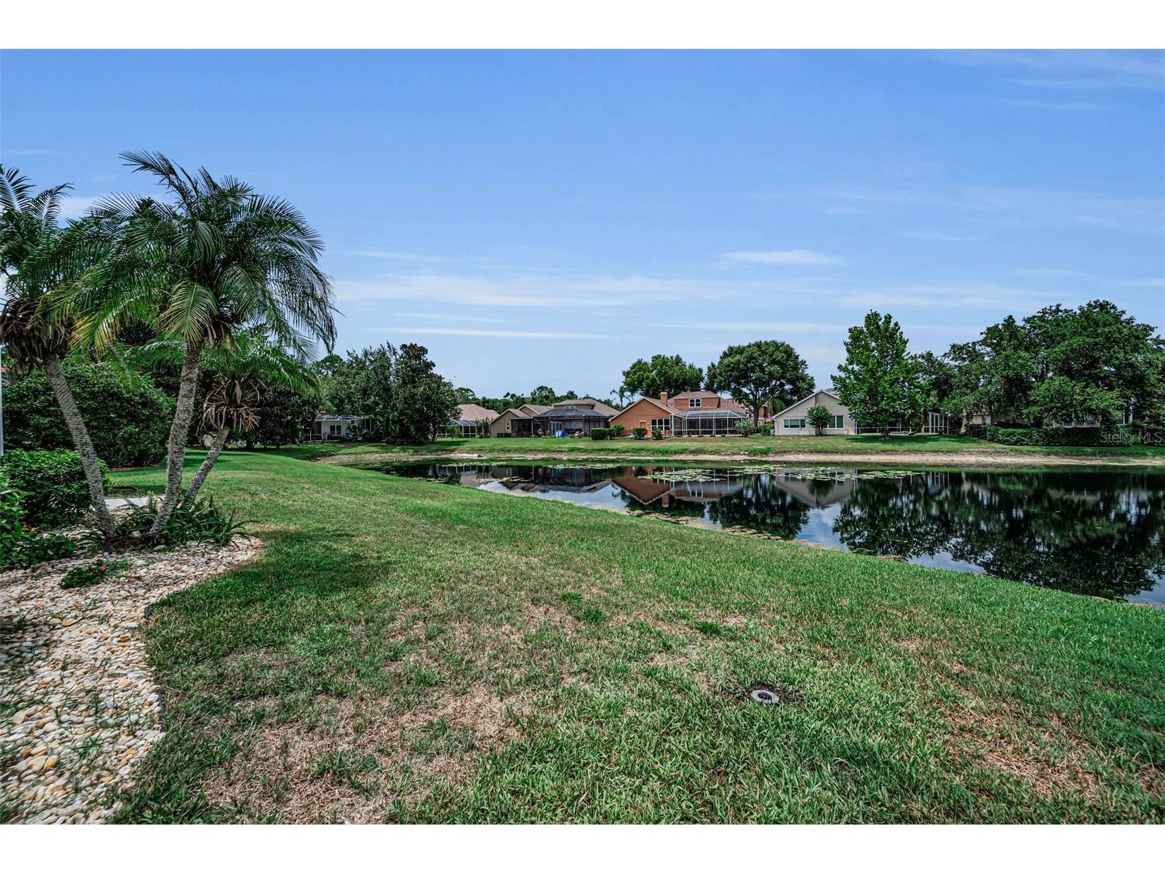 4084 Ligustrum Drive Palm Harbor FL 34685 TB8526056 image40