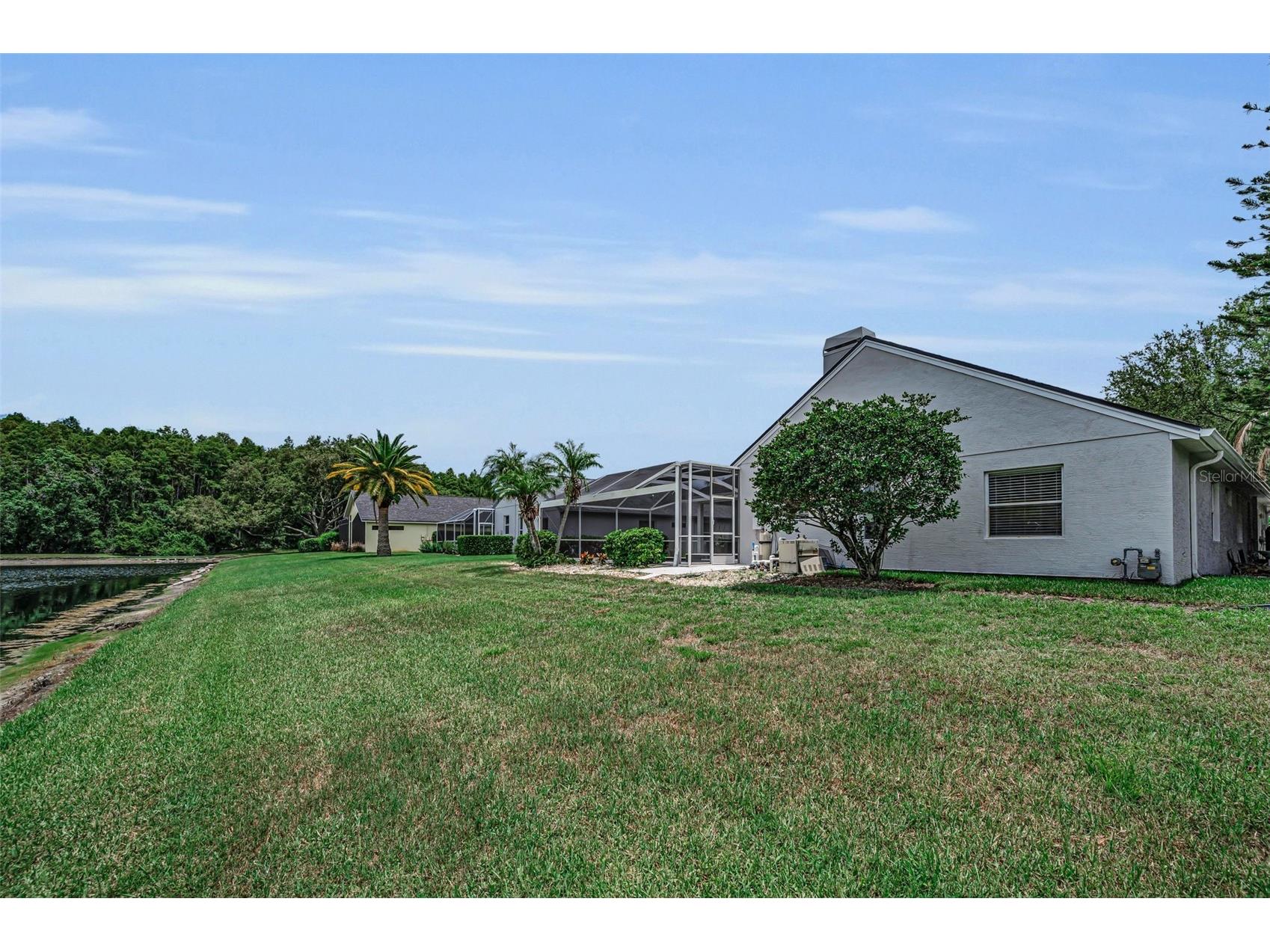 4084 Ligustrum Drive Palm Harbor FL 34685 TB8526056 image41