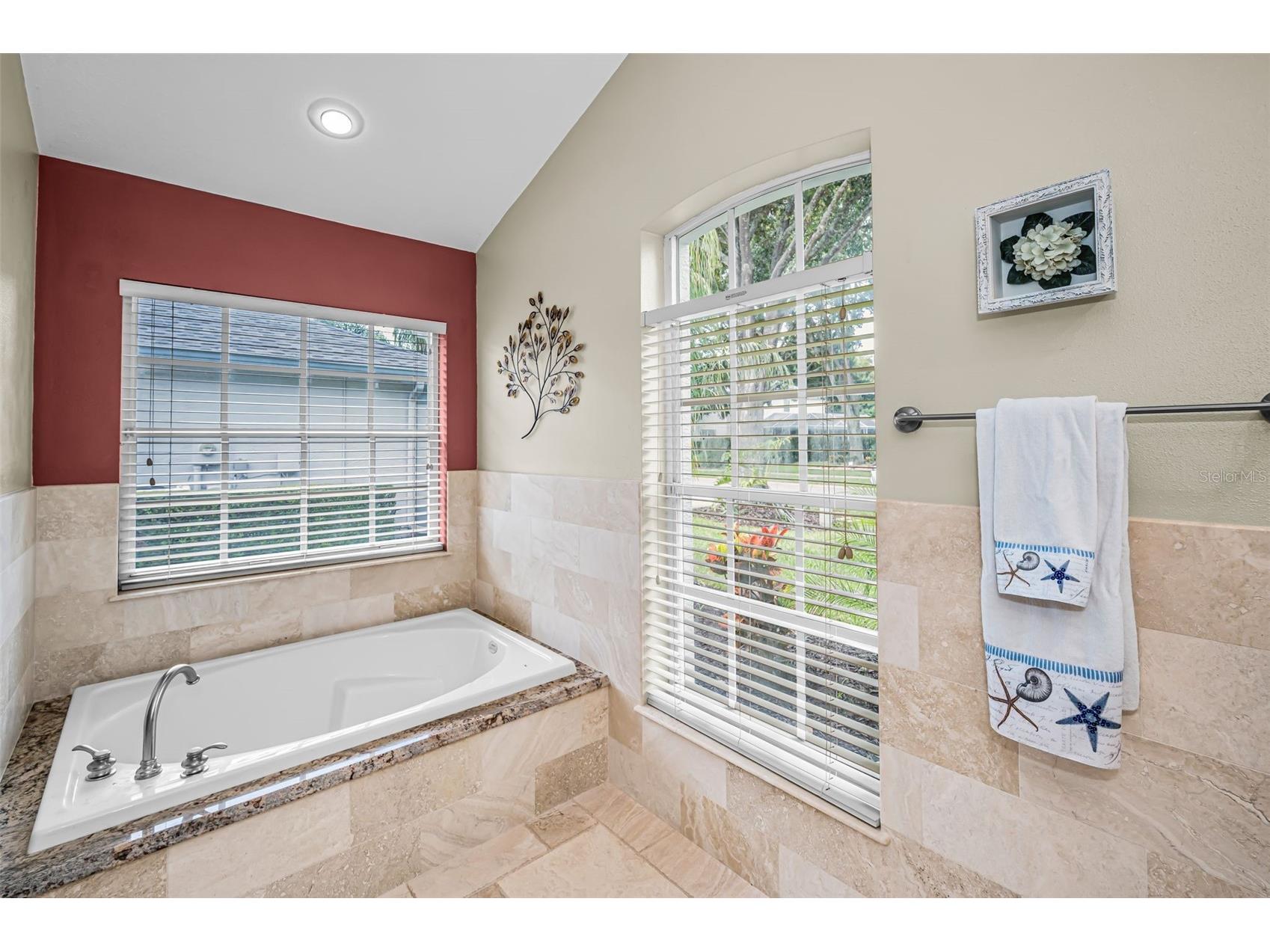 4084 Ligustrum Drive Palm Harbor FL 34685 TB8526056 image62