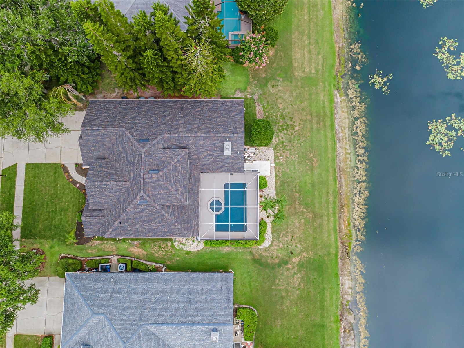 4084 Ligustrum Drive Palm Harbor FL 34685 TB8526056 image74