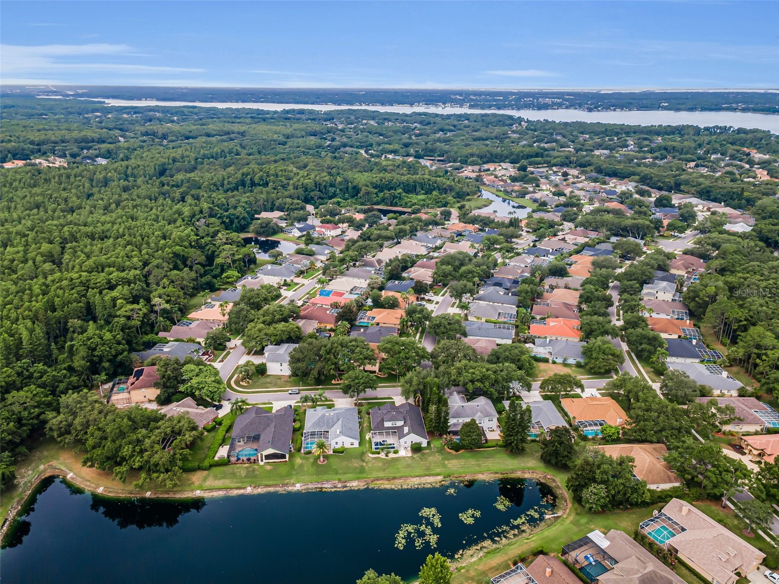 4084 Ligustrum Drive Palm Harbor FL 34685 TB8526056 image78
