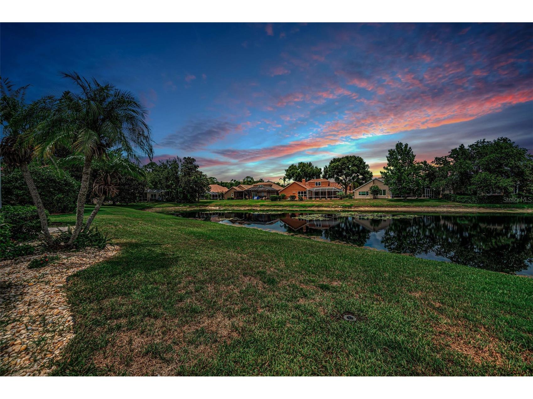 4084 Ligustrum Drive Palm Harbor FL 34685 TB8526056 image81