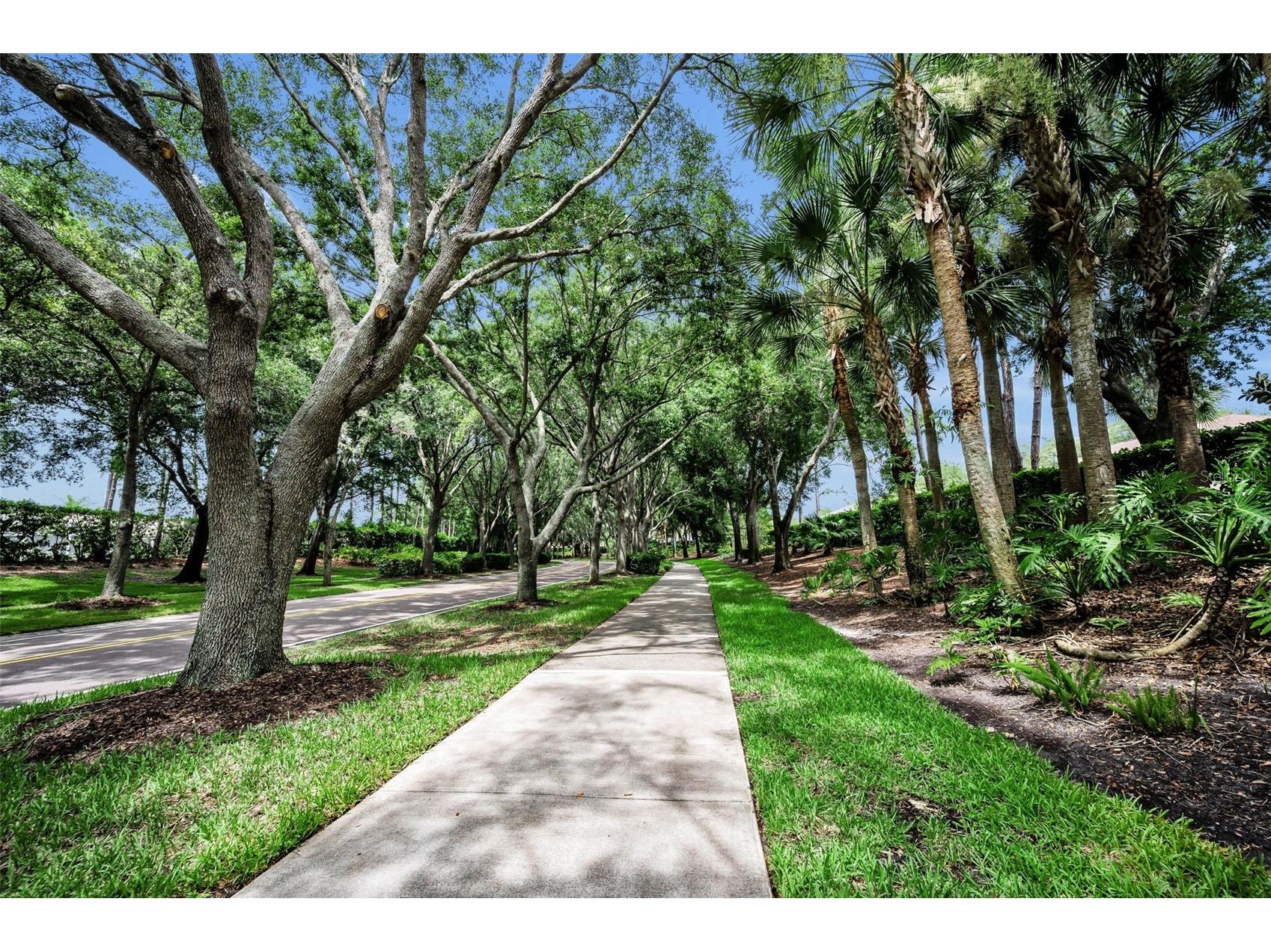 4084 Ligustrum Drive Palm Harbor FL 34685 TB8526056 image83