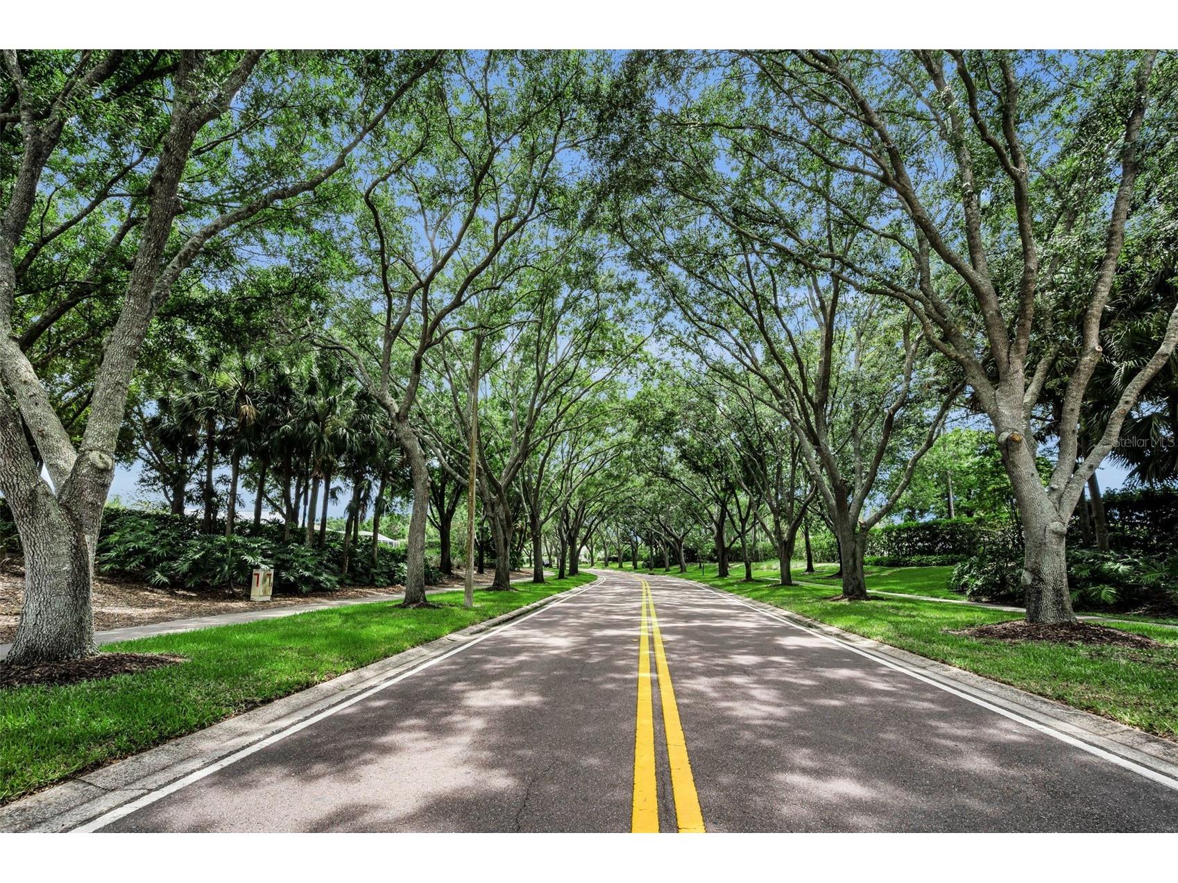 4084 Ligustrum Drive Palm Harbor FL 34685 TB8526056 image84