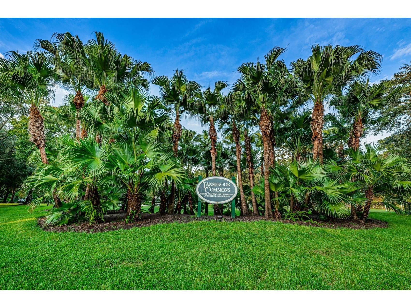 4084 Ligustrum Drive Palm Harbor FL 34685 TB8526056 image85