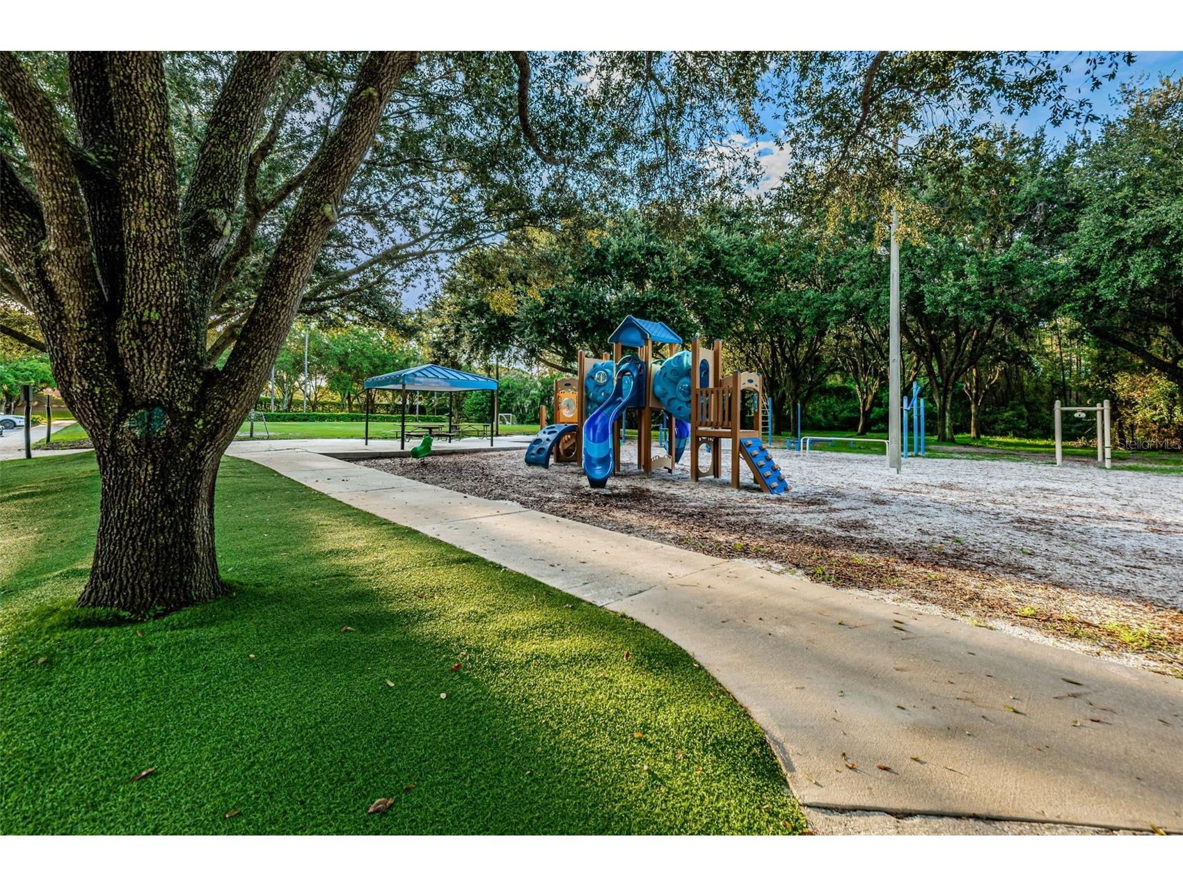 4084 Ligustrum Drive Palm Harbor FL 34685 TB8526056 image86