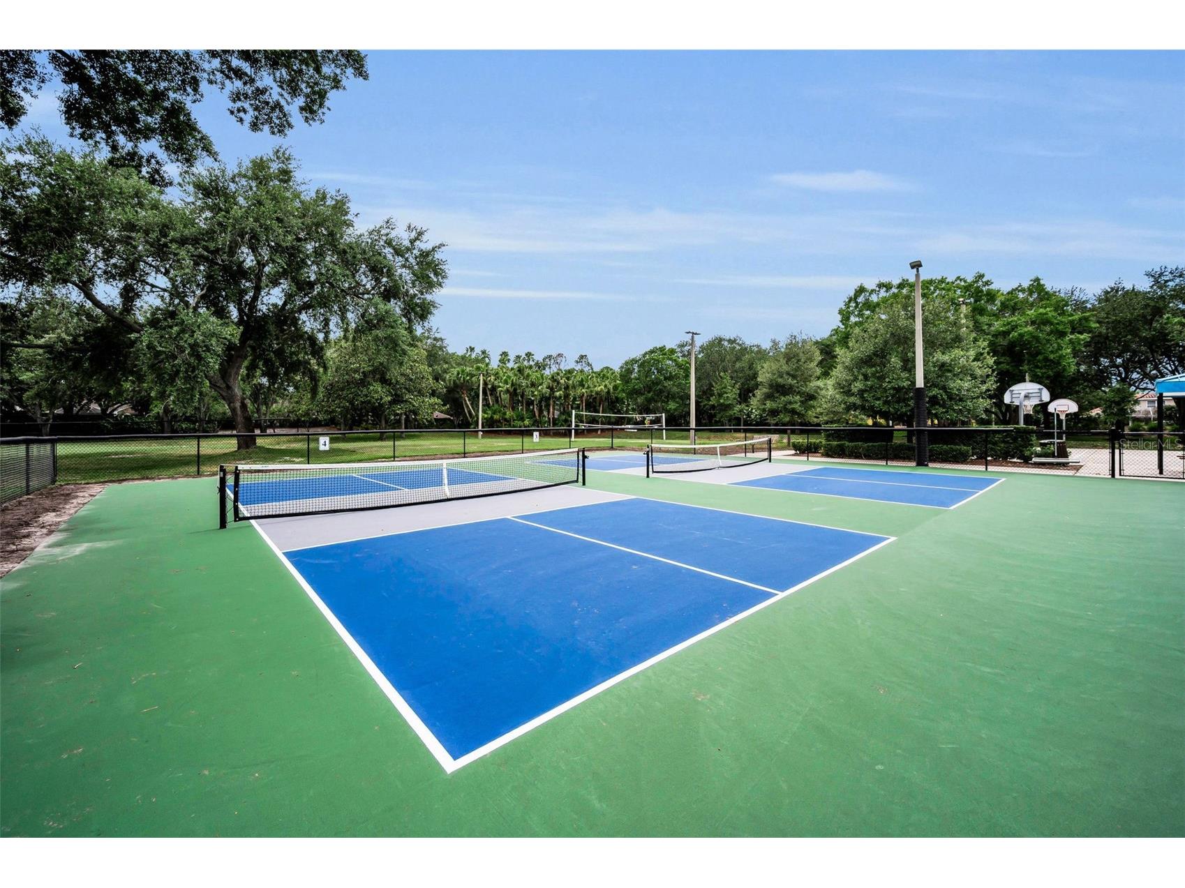 4084 Ligustrum Drive Palm Harbor FL 34685 TB8526056 image87