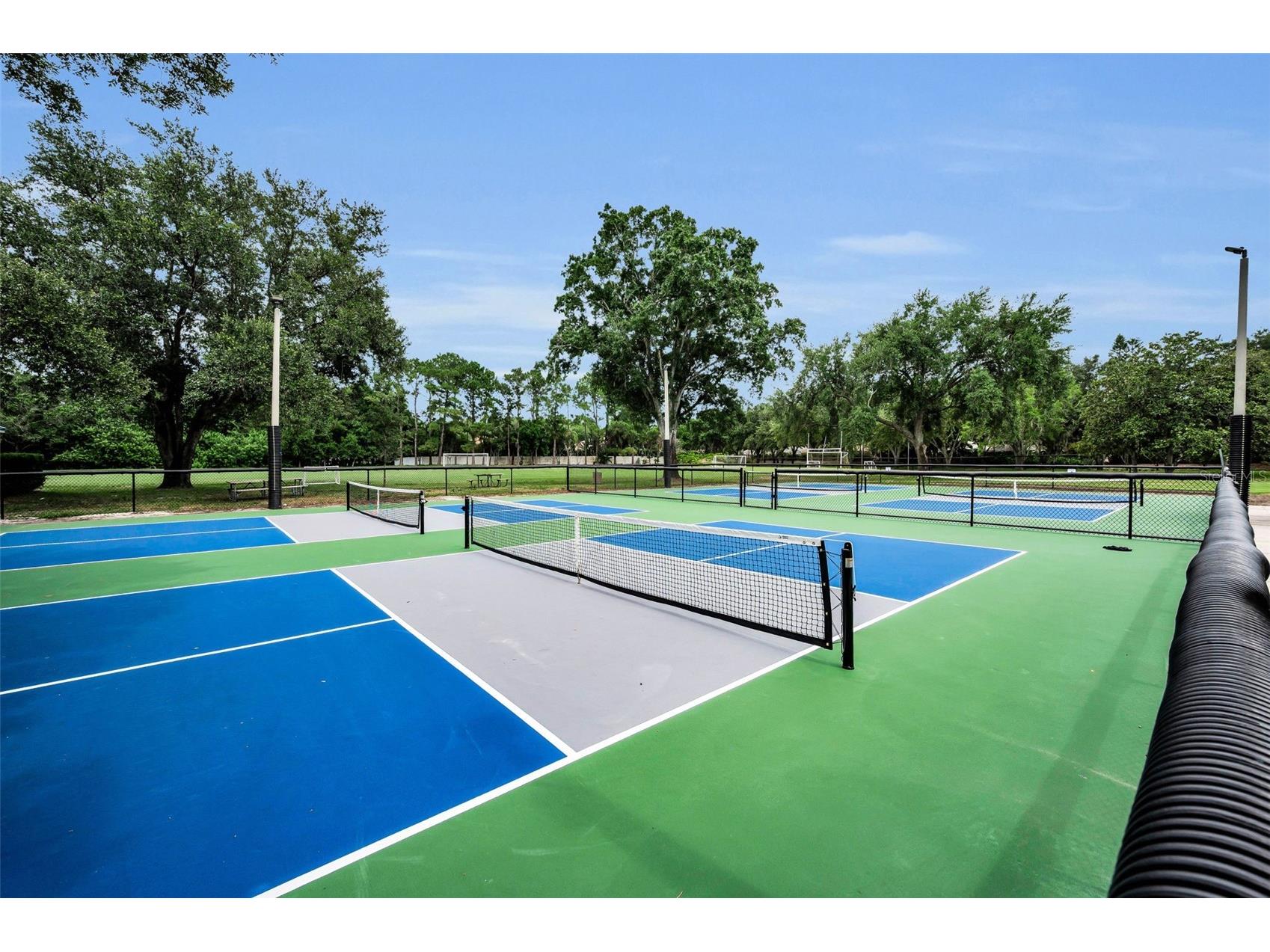 4084 Ligustrum Drive Palm Harbor FL 34685 TB8526056 image88