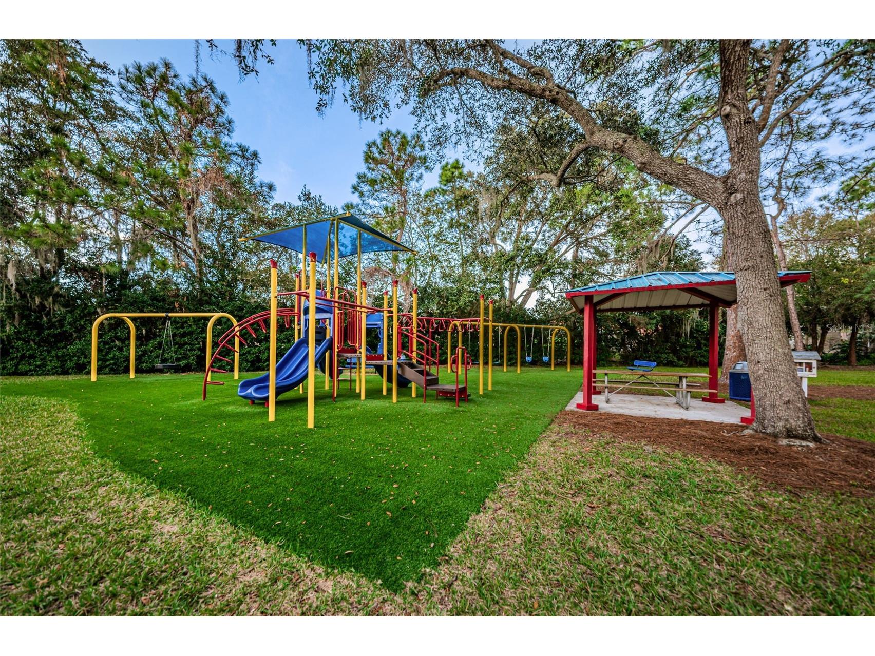 4084 Ligustrum Drive Palm Harbor FL 34685 TB8526056 image98