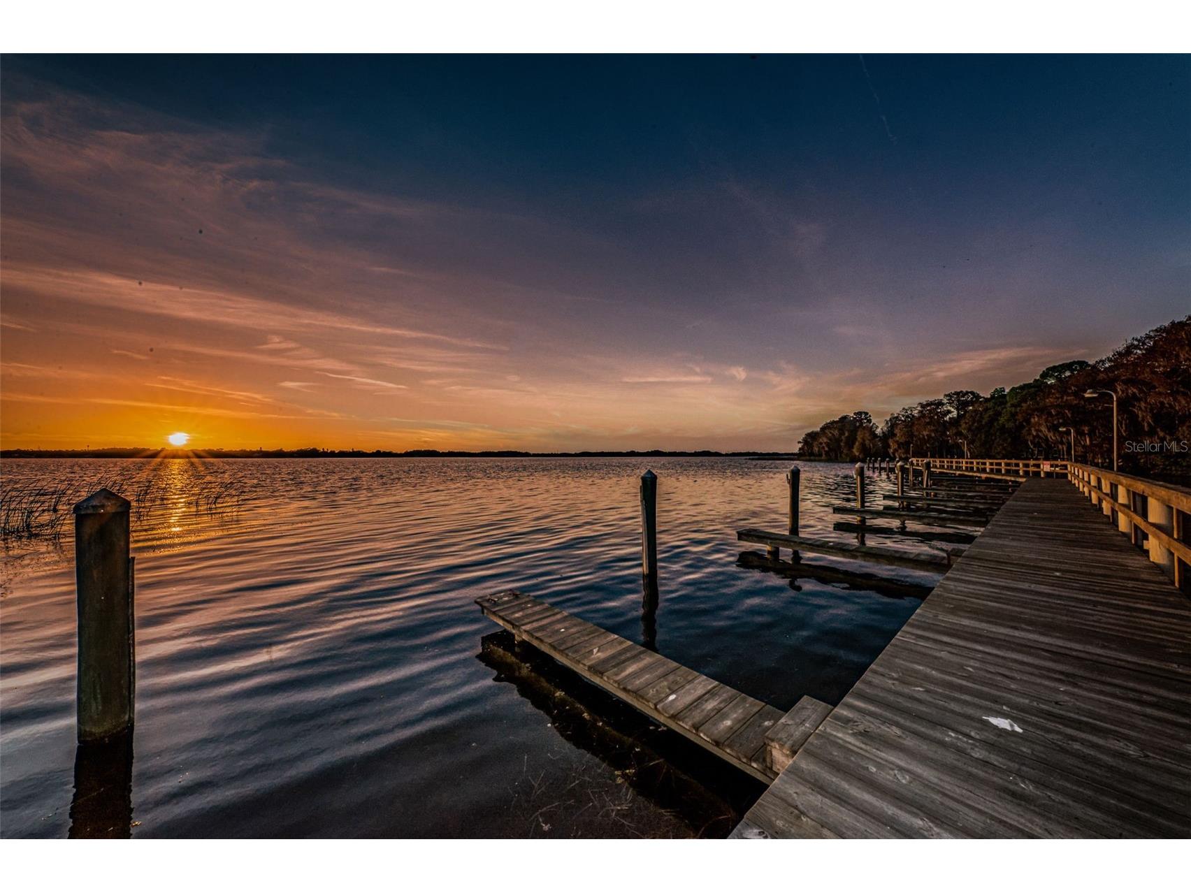 4084 Ligustrum Drive Palm Harbor FL 34685 TB8526056 image99