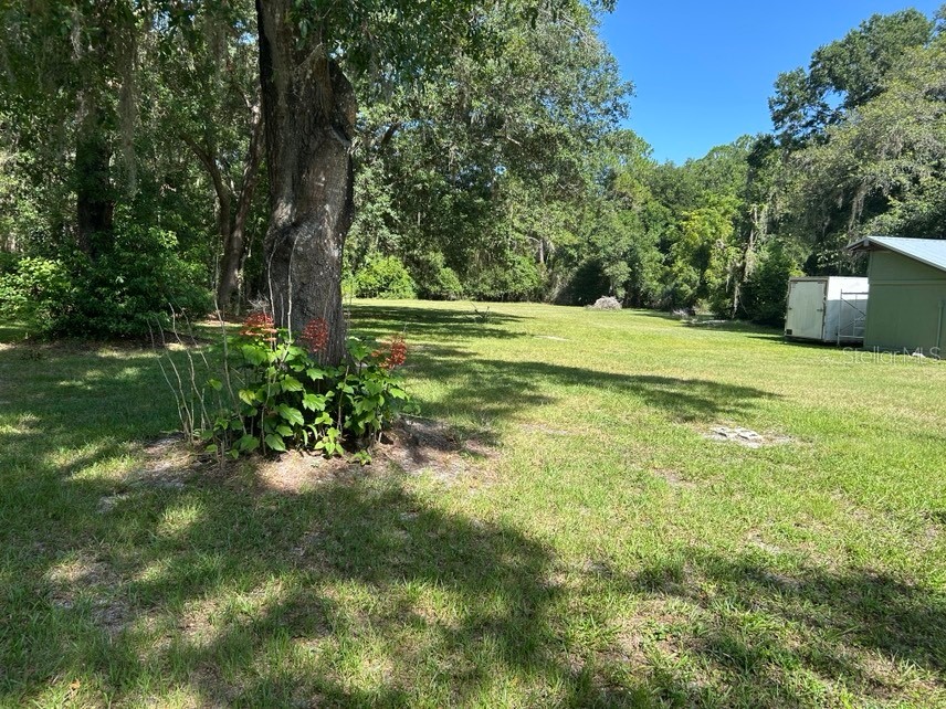 40841 Louise Road Umatilla FL 32784 V4950043 image10