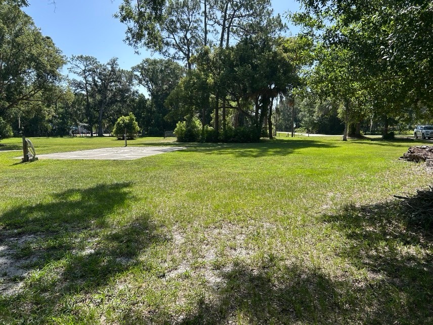 40841 Louise Road Umatilla FL 32784 V4950043 image13