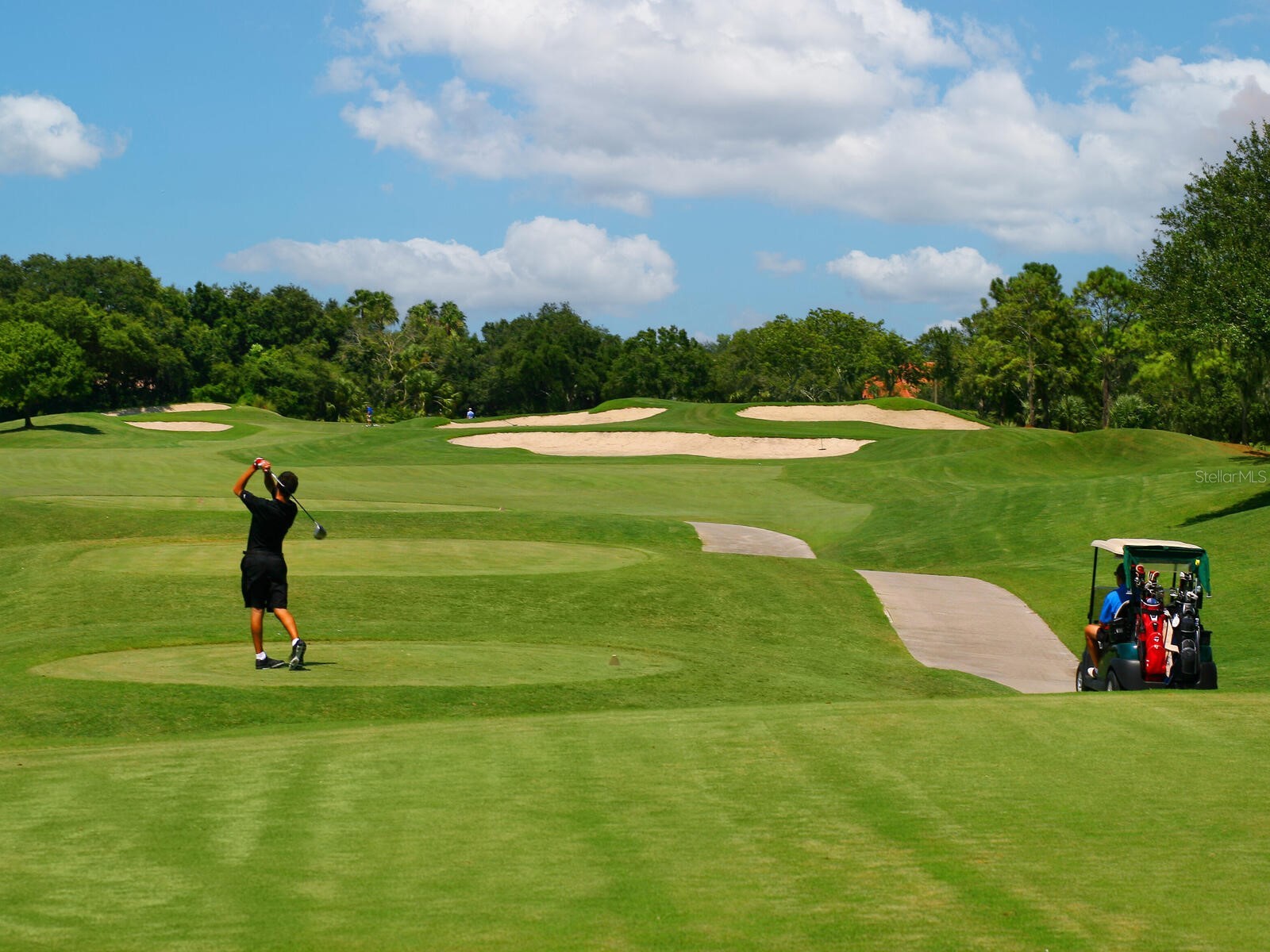 4085 Founders Club Drive Sarasota FL 34240 A4667067 image91