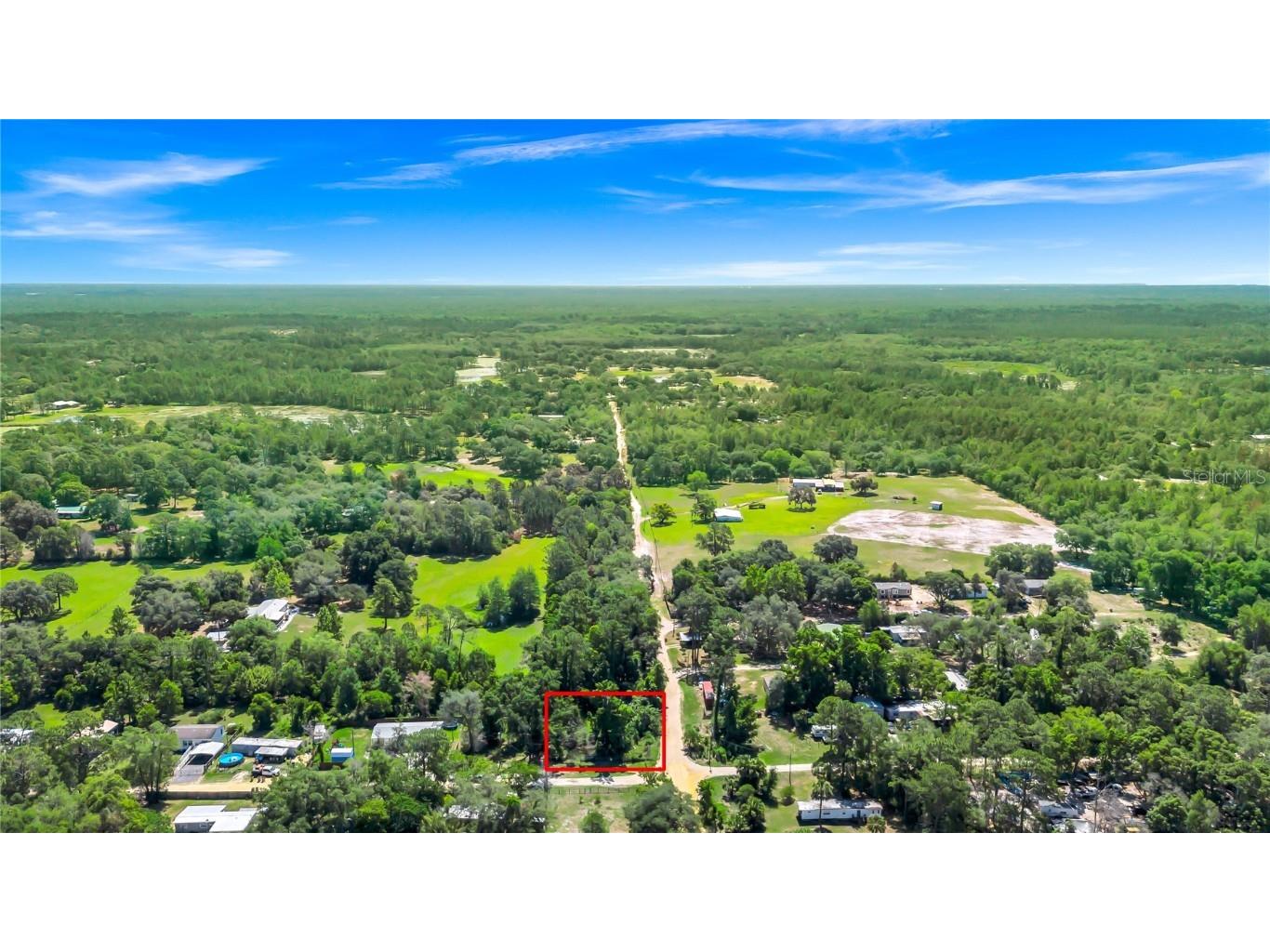 40850 Pine Tree Lane Eustis FL 32736 O6312949 image14