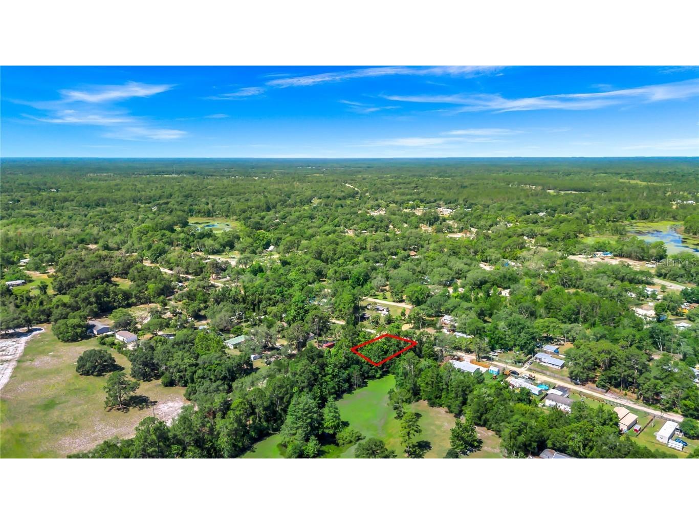 40850 Pine Tree Lane Eustis FL 32736 O6312949 image18
