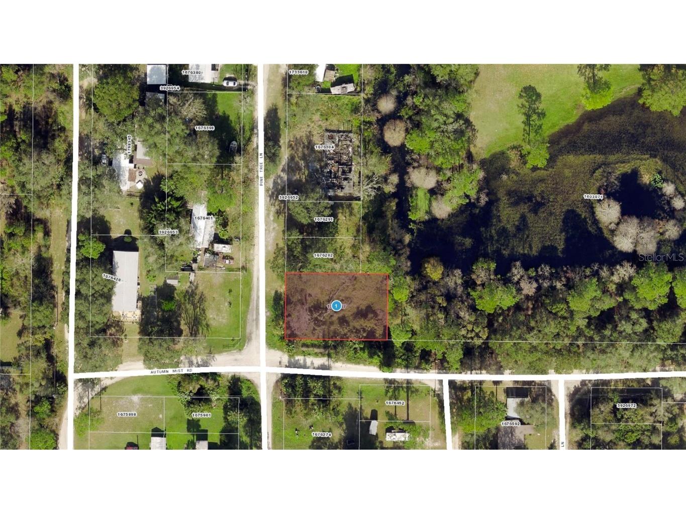 40850 Pine Tree Lane Eustis FL 32736 O6312949 image22