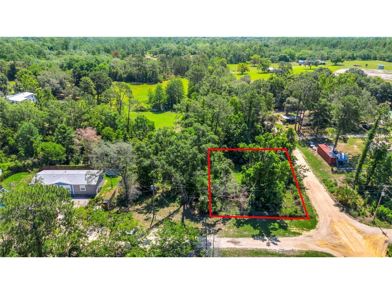 40850 Pine Tree Lane Eustis FL 32736 O6312949 image3