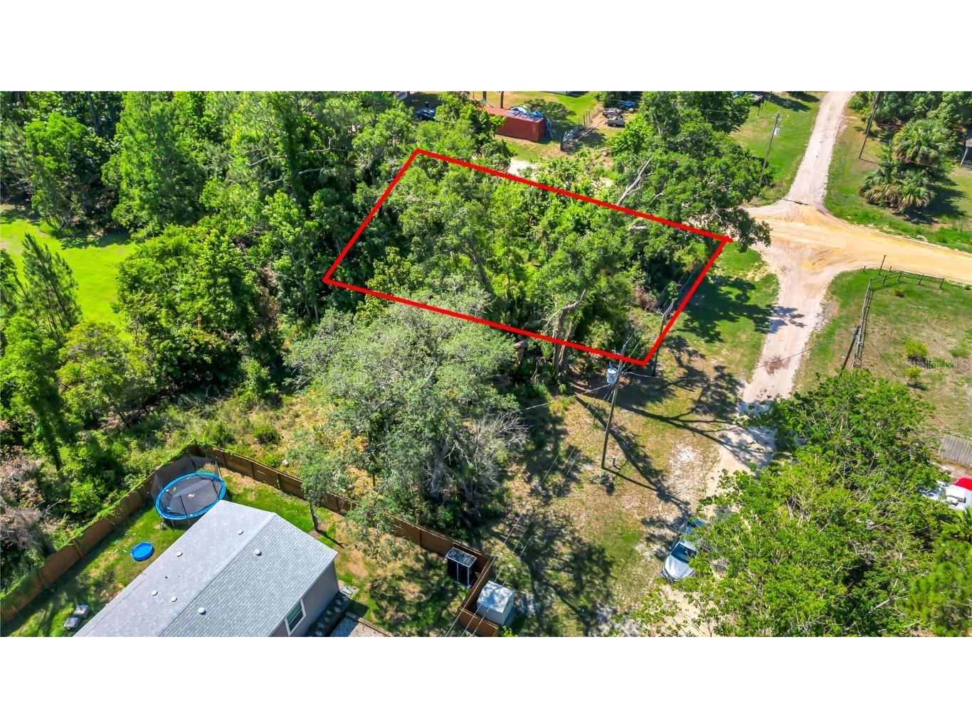 40850 Pine Tree Lane Eustis FL 32736 O6312949 image4