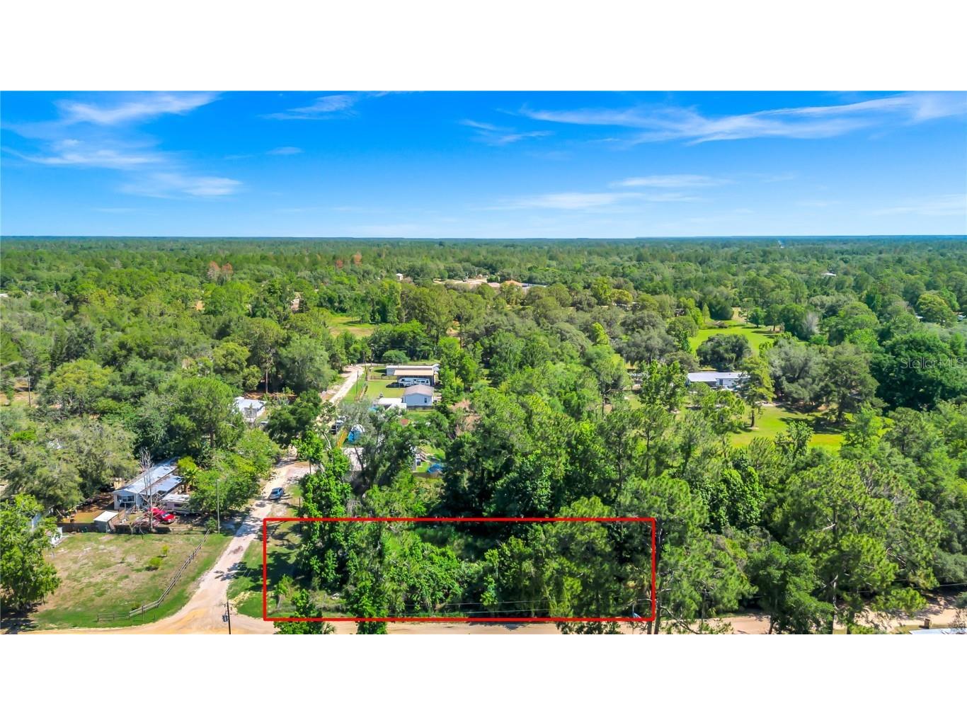 40850 Pine Tree Lane Eustis FL 32736 O6312949 image6