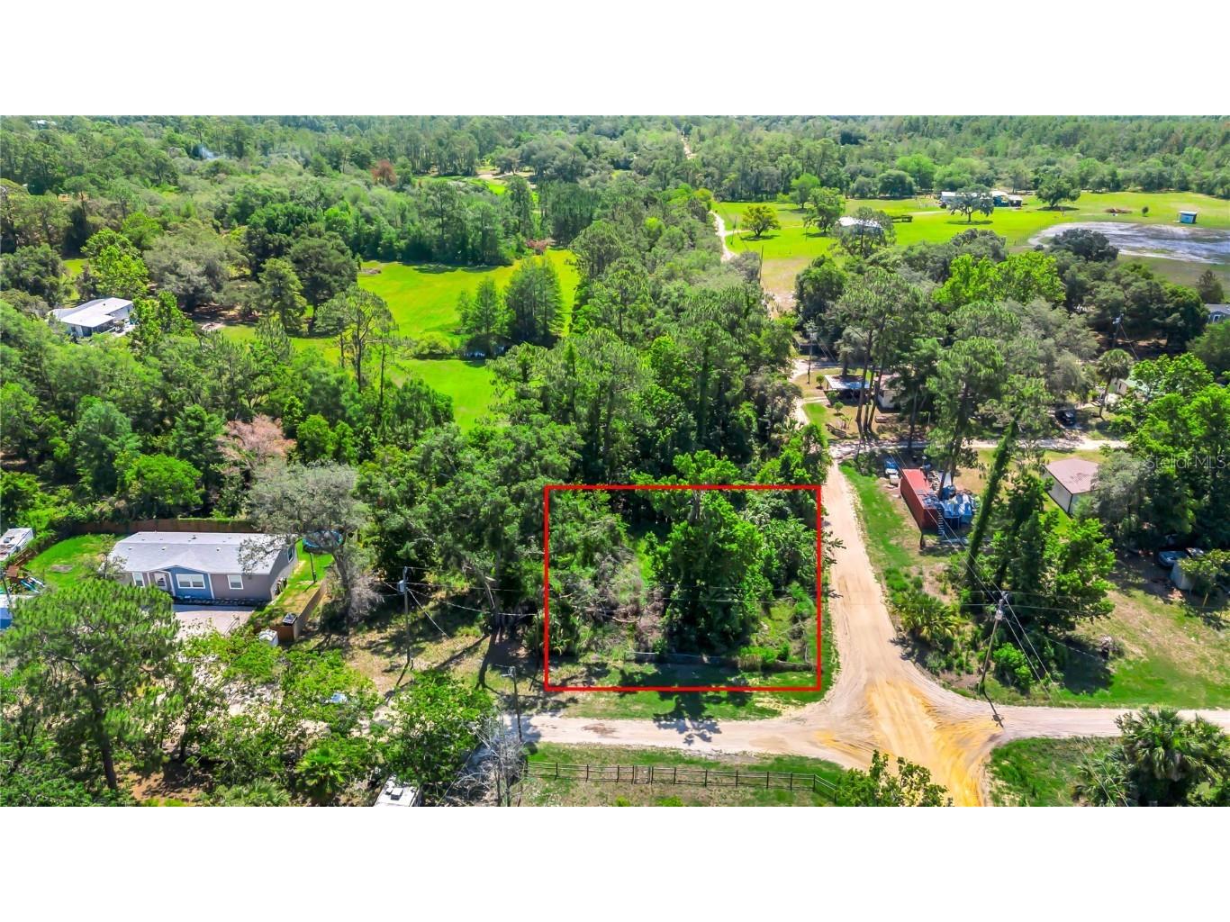 40850 Pine Tree Lane Eustis FL 32736 O6312949 image8