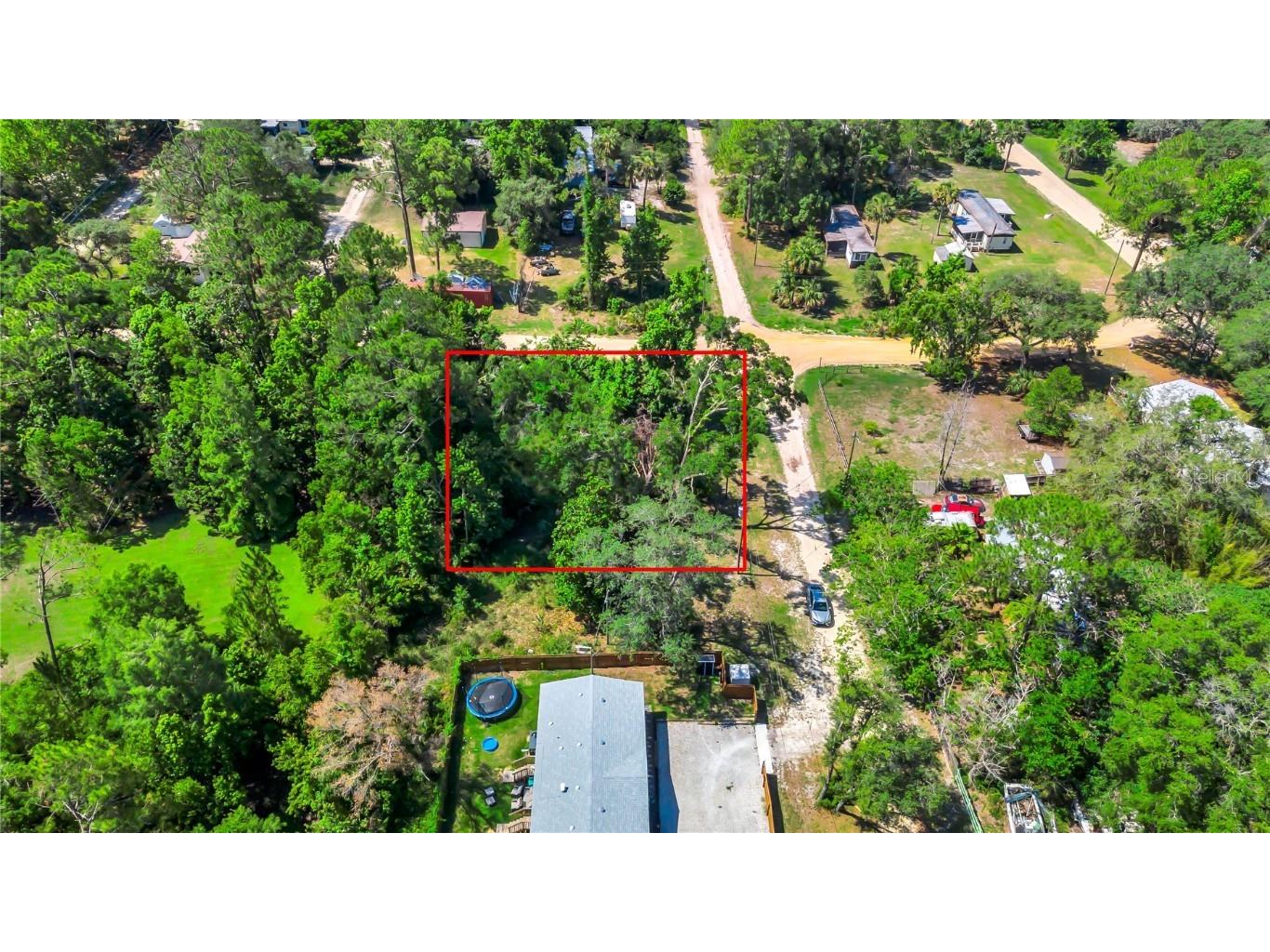 40850 Pine Tree Lane Eustis FL 32736 O6312949 image9