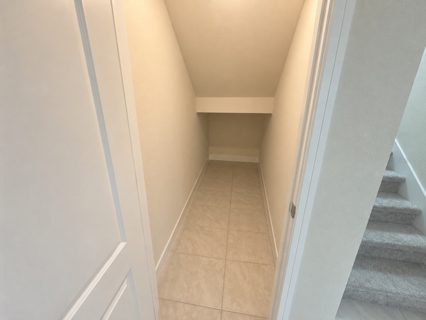 4086 Lush View Drive Apopka FL 32712 O6417224 image13