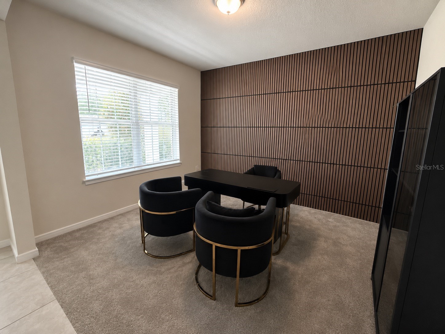 4086 Lush View Drive Apopka FL 32712 O6417224 image8