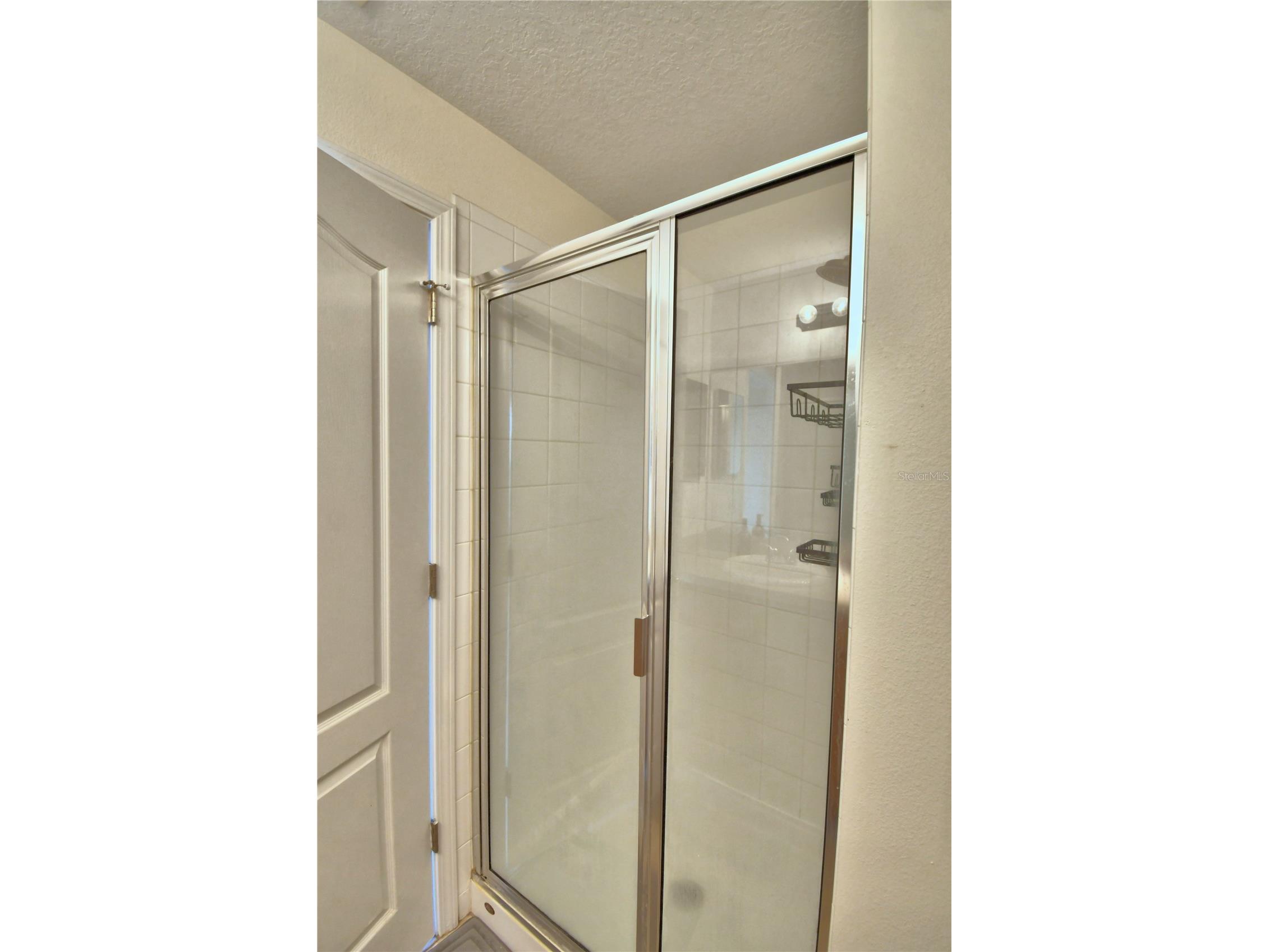 4086 Winding Vine Lakeland FL 33812 P4939082 image36