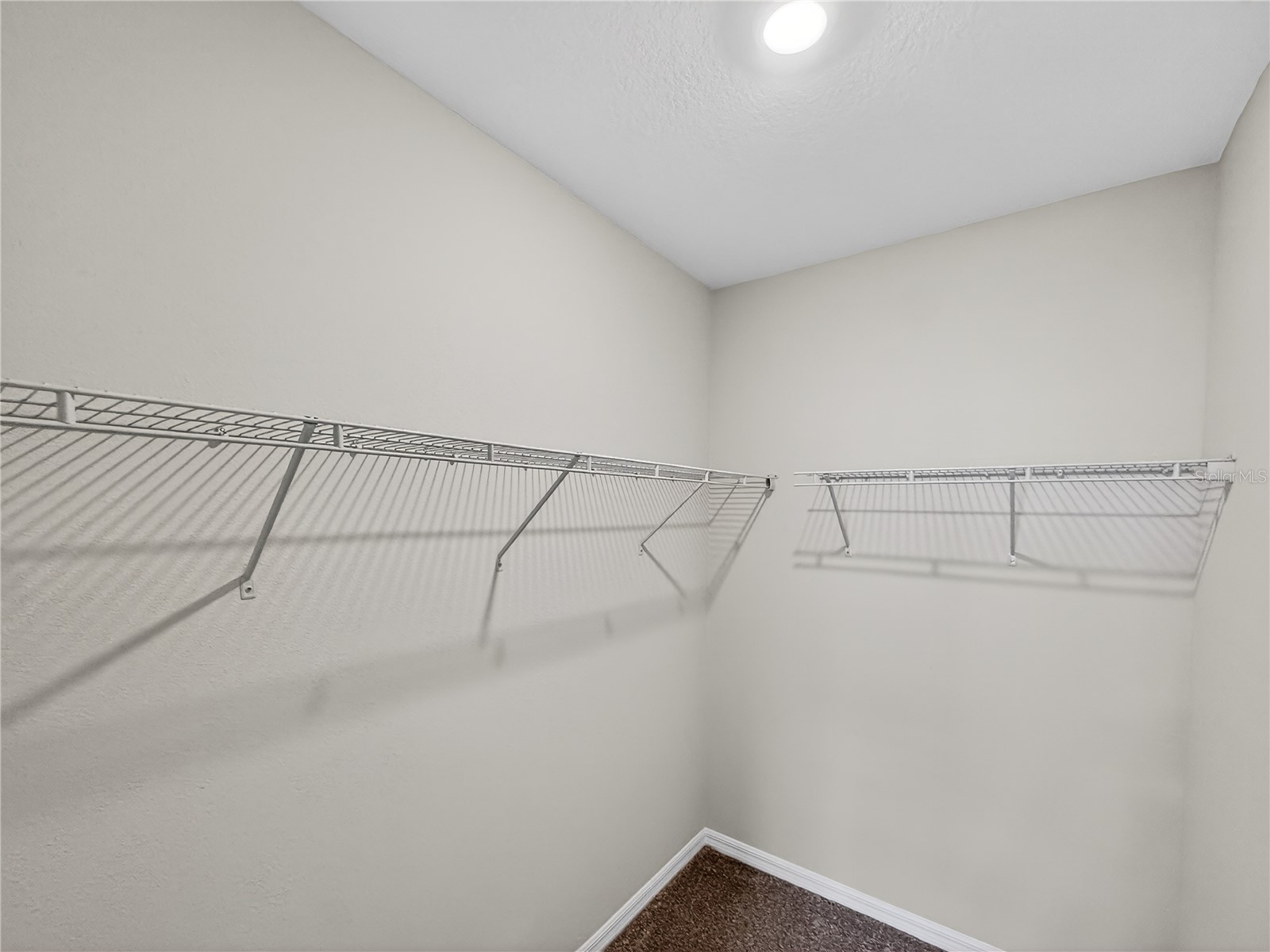 4087 Feather Tree Drive Apopka FL 32712 G5110675 image27