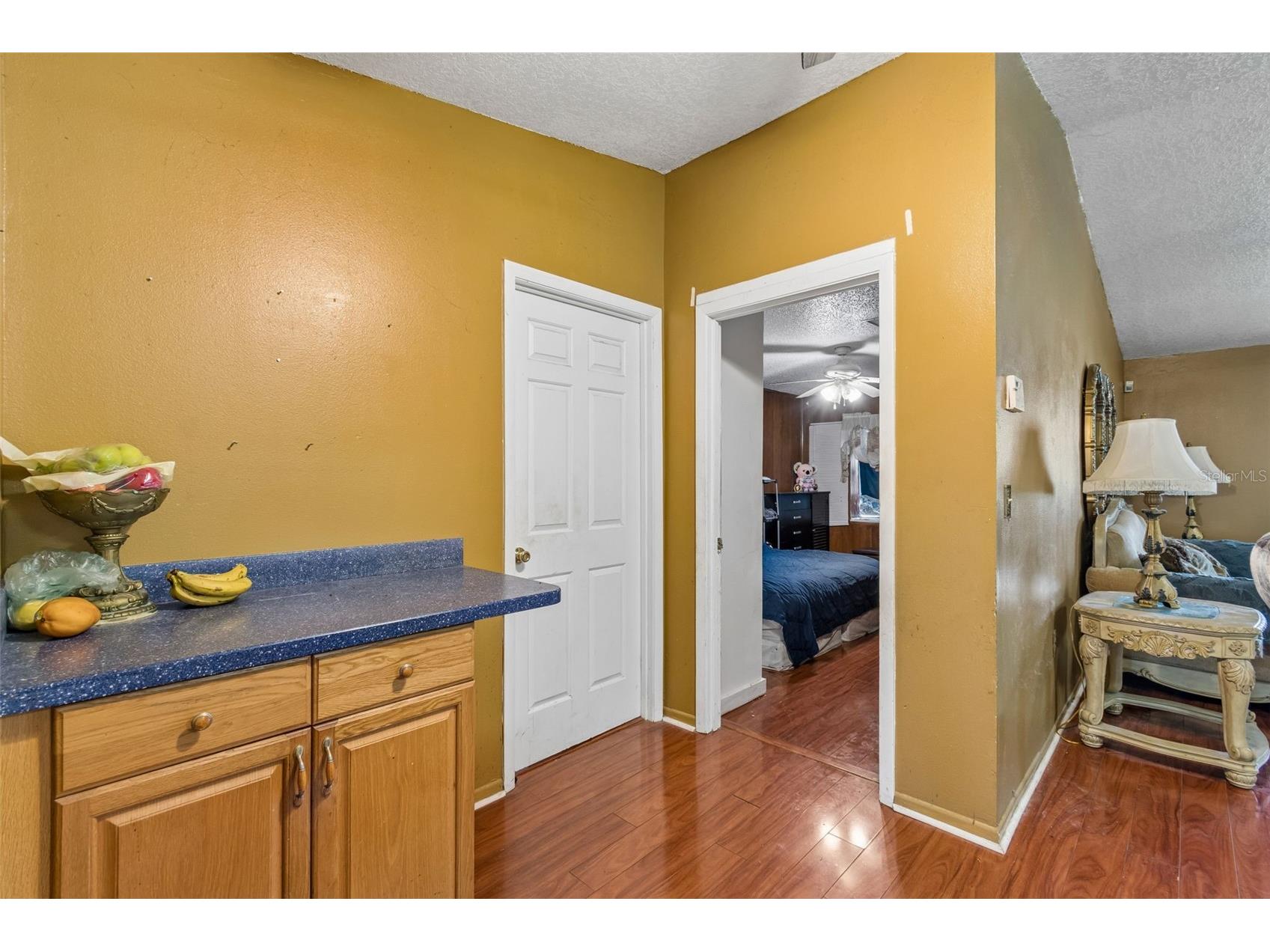 4087 Willow South Drive Mulberry FL 33860 TB8529825 image17