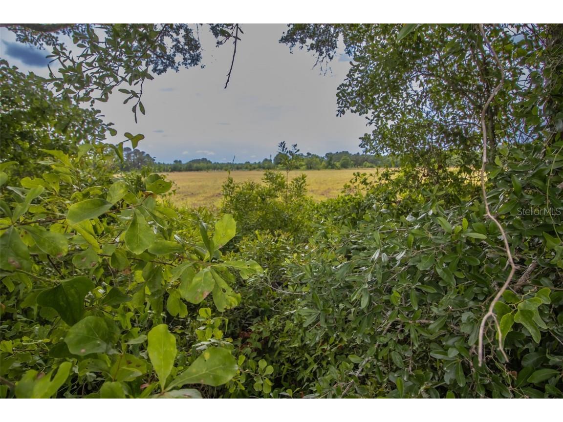 4088 W State Road 235 La Crosse FL 32658 GC530707 image15