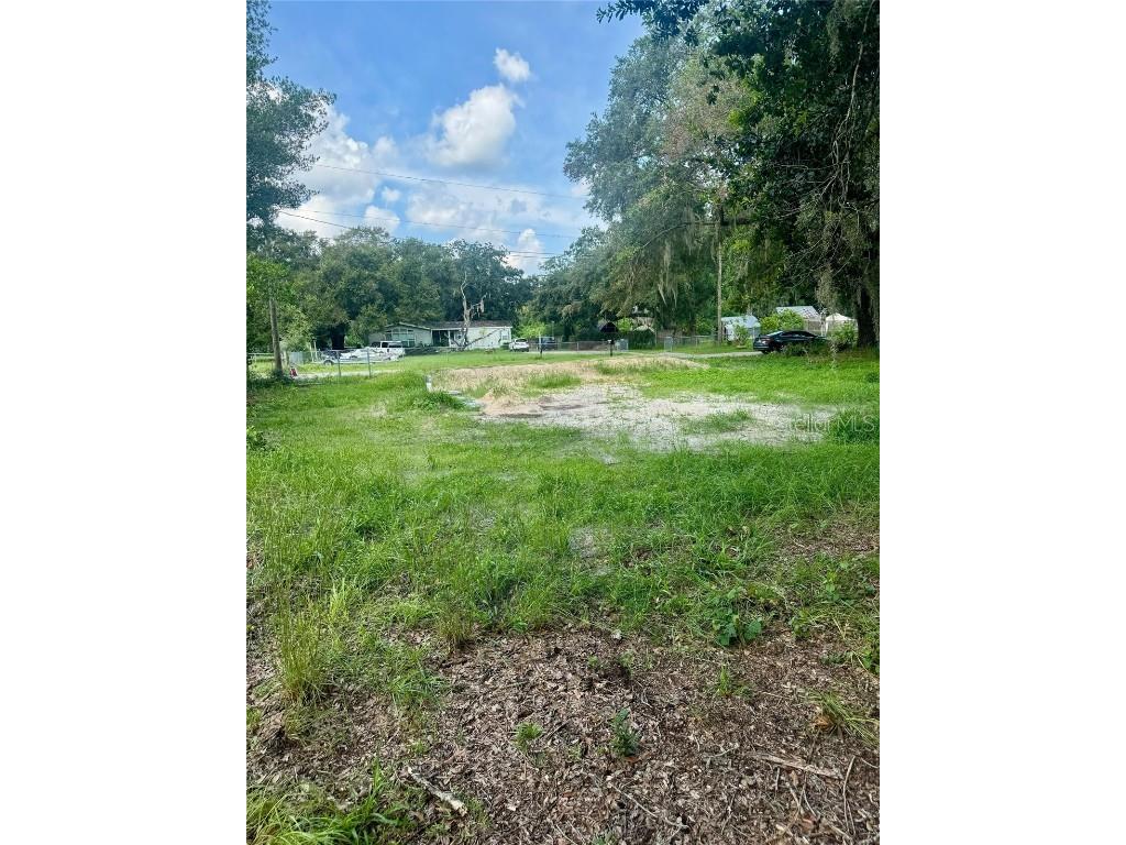4088 Wajer Road Land O Lakes FL 34638 O6239811 image1