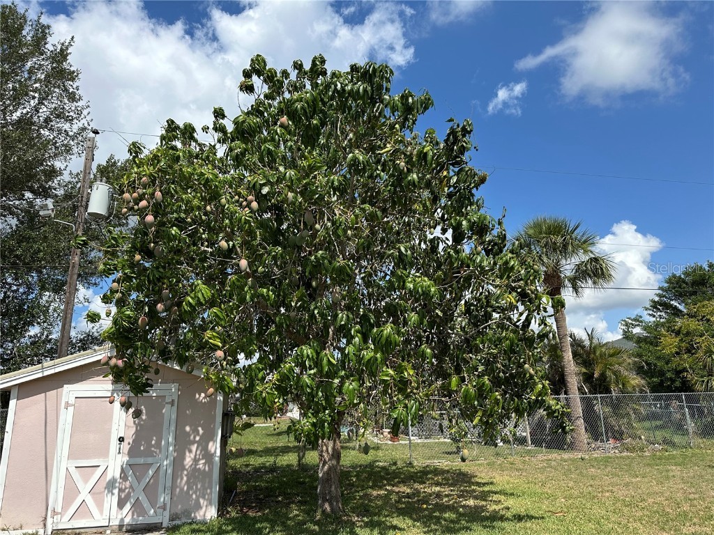 4089 Yucatan Circle Port Charlotte FL 33948 C7510272 image37