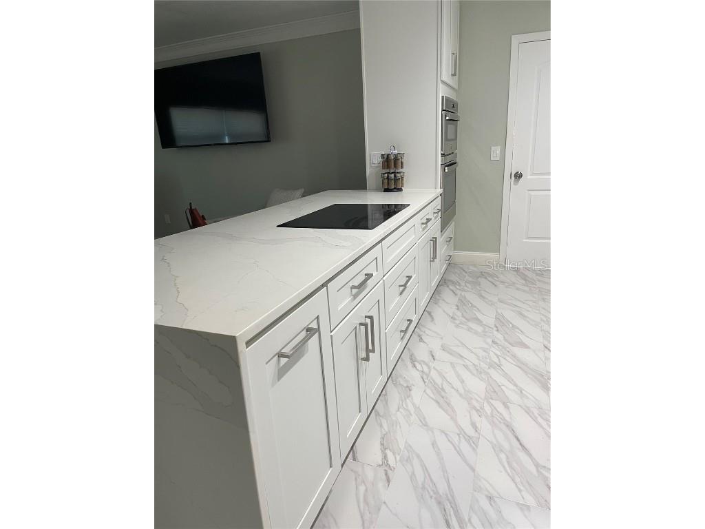 409 4th Avenue N Tierra Verde FL 33715 TB8416394 image6