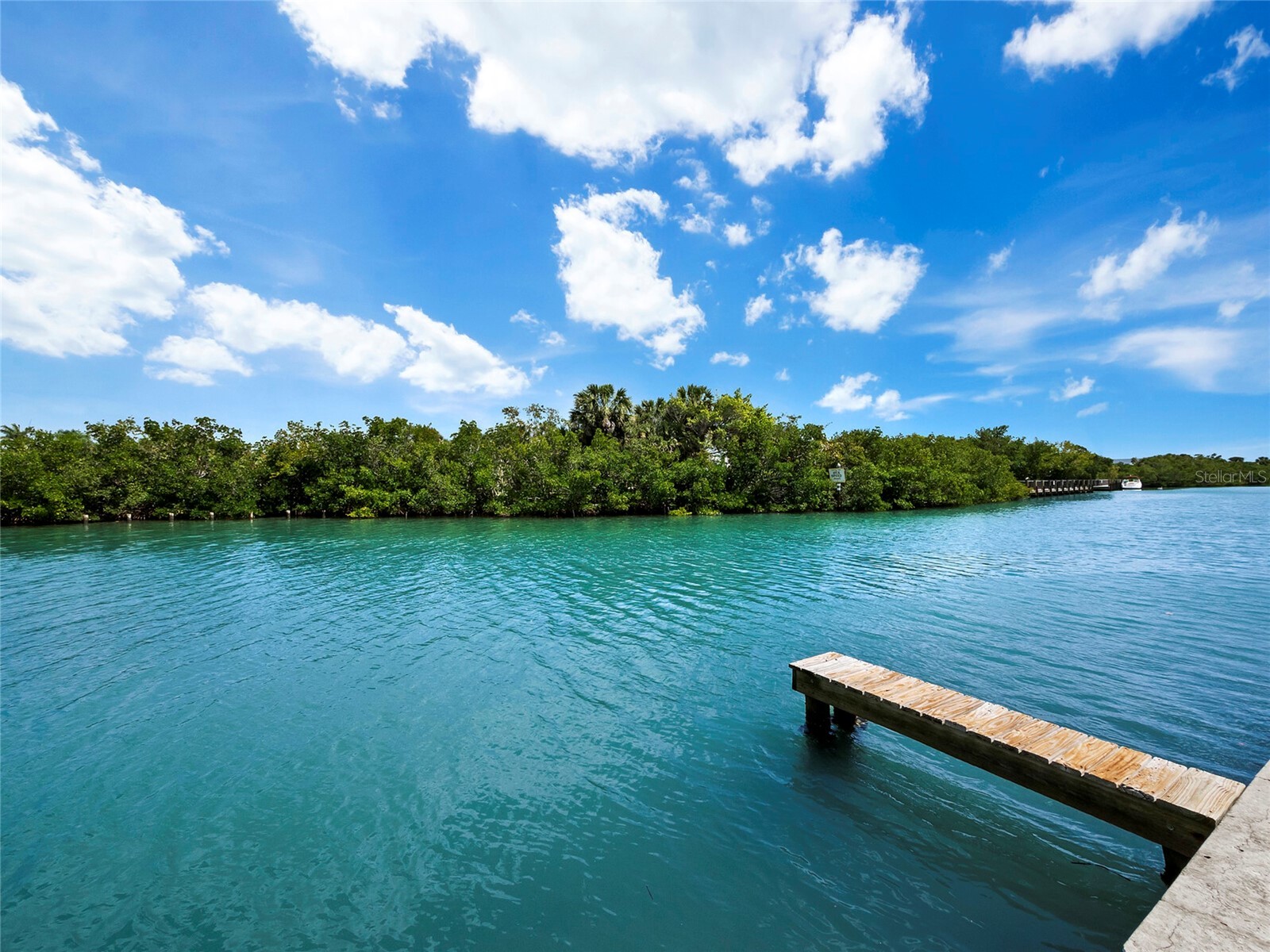 409 Casey Key Road Nokomis FL 34275 - GULF AND LITTLE SARASOTA BAY A4678476 image48