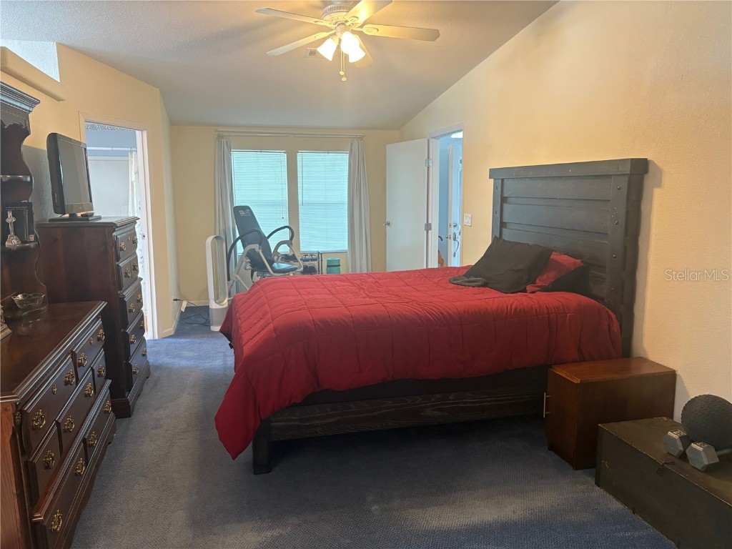 409 Dreama Drive Davenport FL 33897 TB8432218 image21