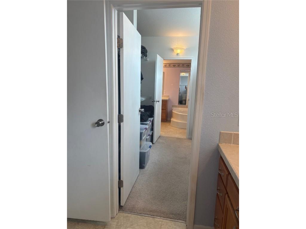 409 Dreama Drive Davenport FL 33897 TB8432218 image27