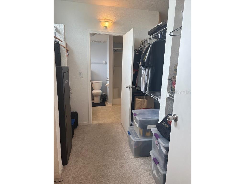 409 Dreama Drive Davenport FL 33897 TB8432218 image29