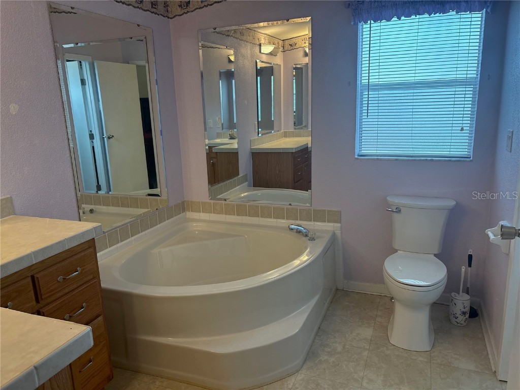 409 Dreama Drive Davenport FL 33897 TB8432218 image31