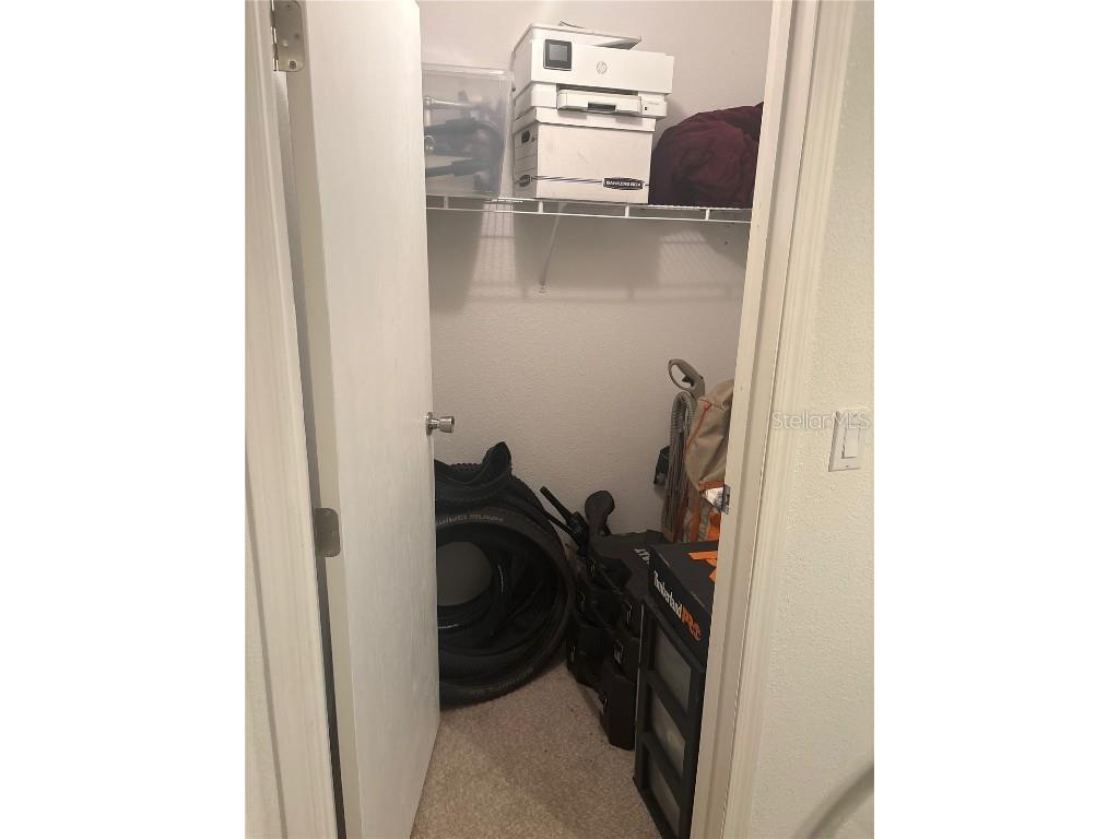 409 Dreama Drive Davenport FL 33897 TB8432218 image37