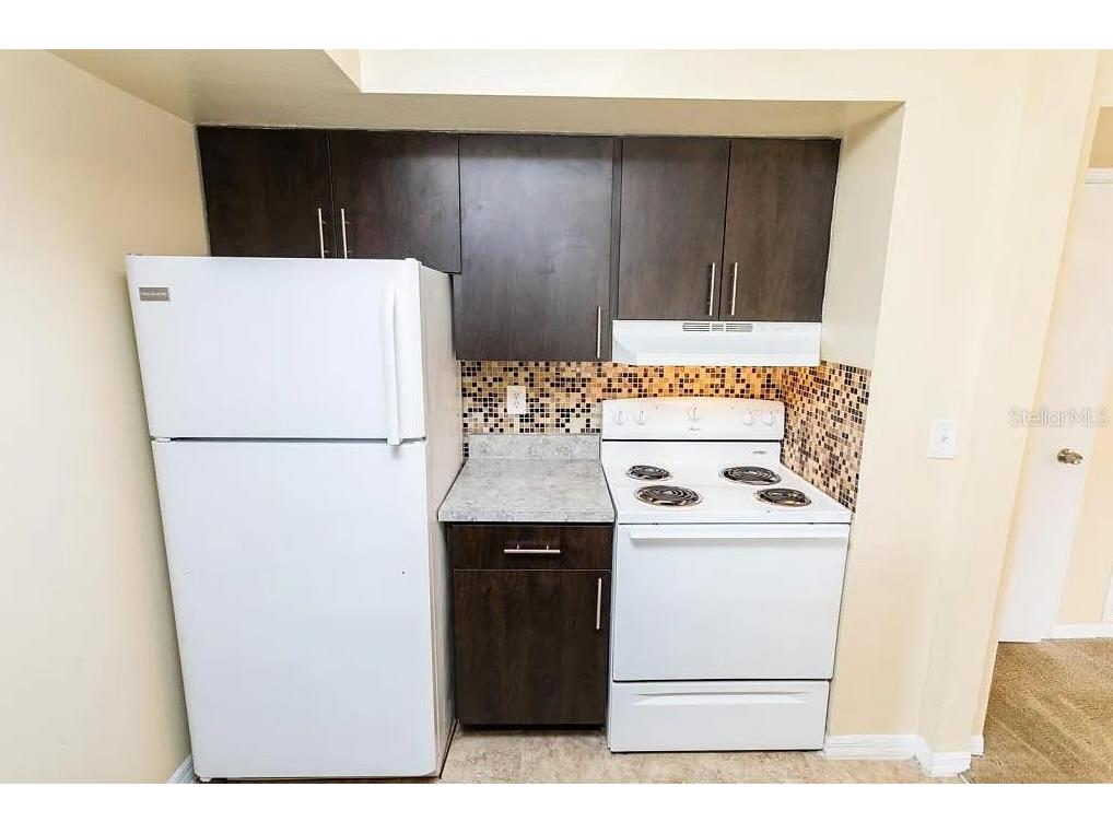 409 Fountainhead Circle Kissimmee FL 34741 TB8430923 image15