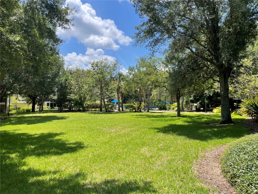 409 Lucaya Loop #409 Davenport FL 33897 - LAKE DAVENPORT TB8331380 image54