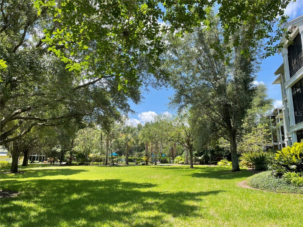 409 Lucaya Loop #409 Davenport FL 33897 - LAKE DAVENPORT TB8331380 image55