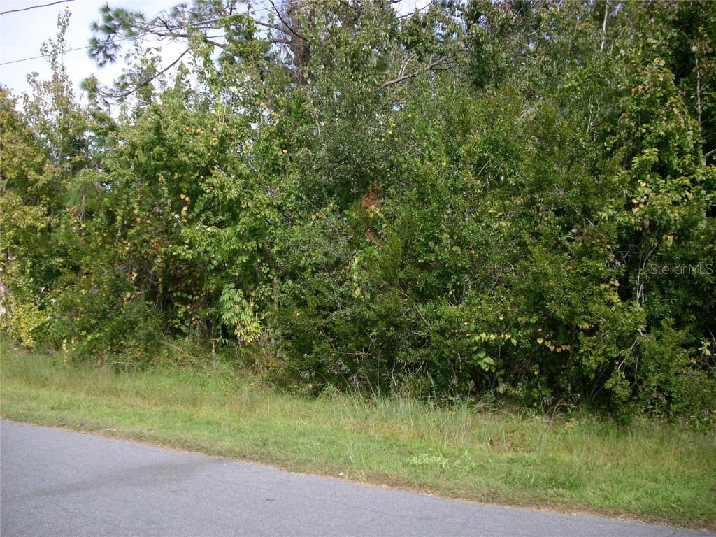 409 Metz Lane Kissimmee FL 34759 S5094690 image1