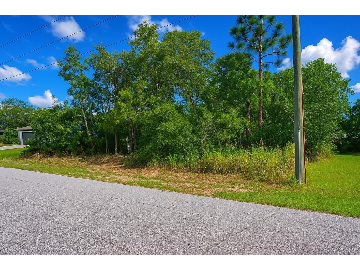 409 Mulberry Court Kissimmee FL 34759 S5139948 image3