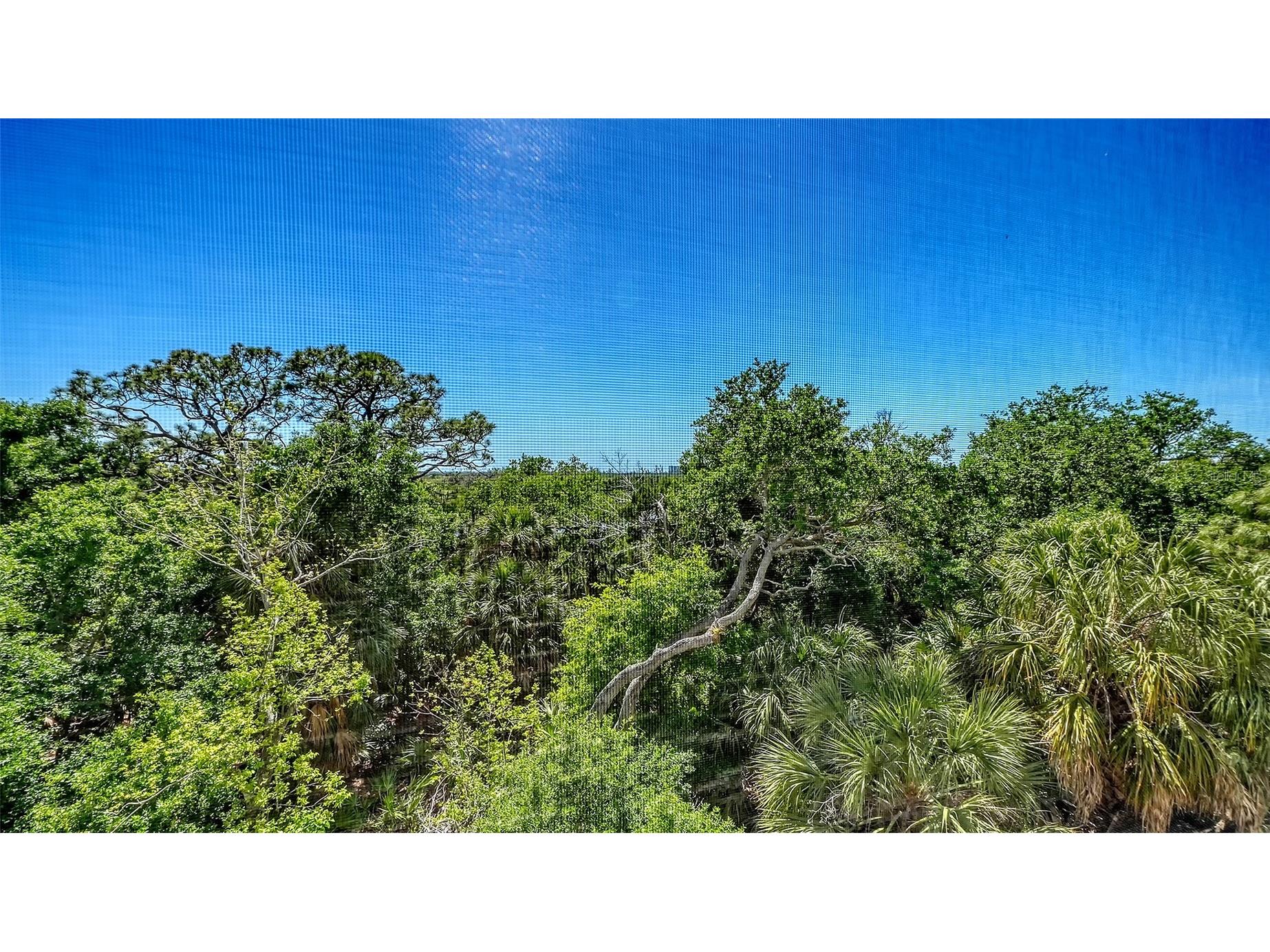 409 North Point Road #401 Osprey FL 34229 A4690812 image13
