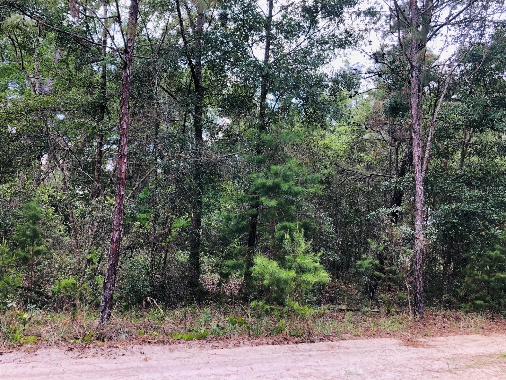 409 Rustic Road Satsuma FL 32189 FC291728 image1
