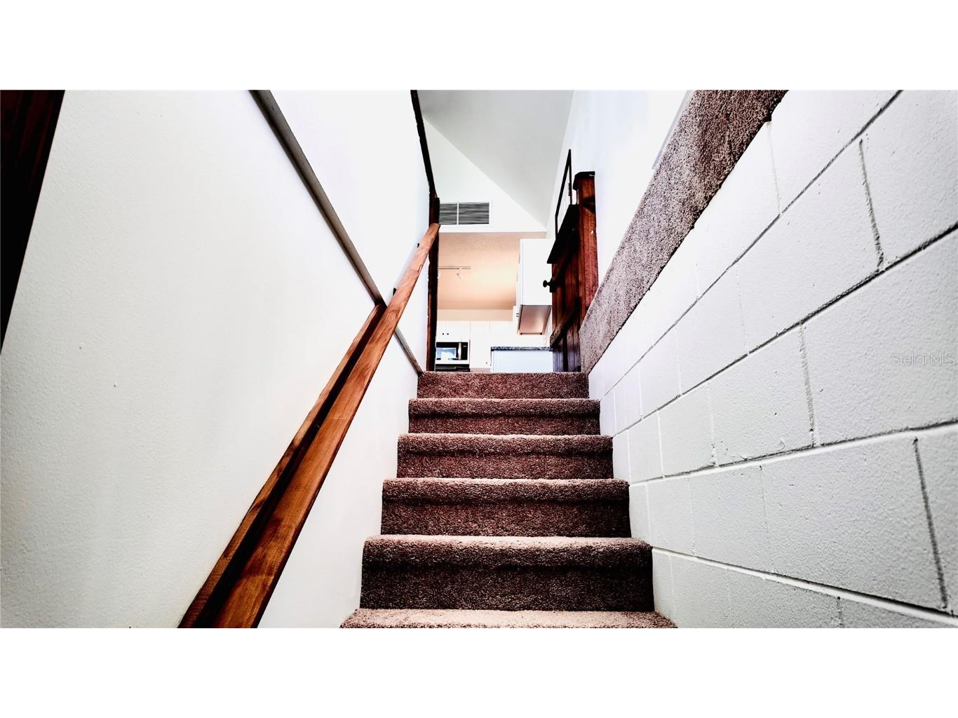 409 S Dixie Avenue Fruitland Park FL 34731 - DREAM LAKE O6346470 image30