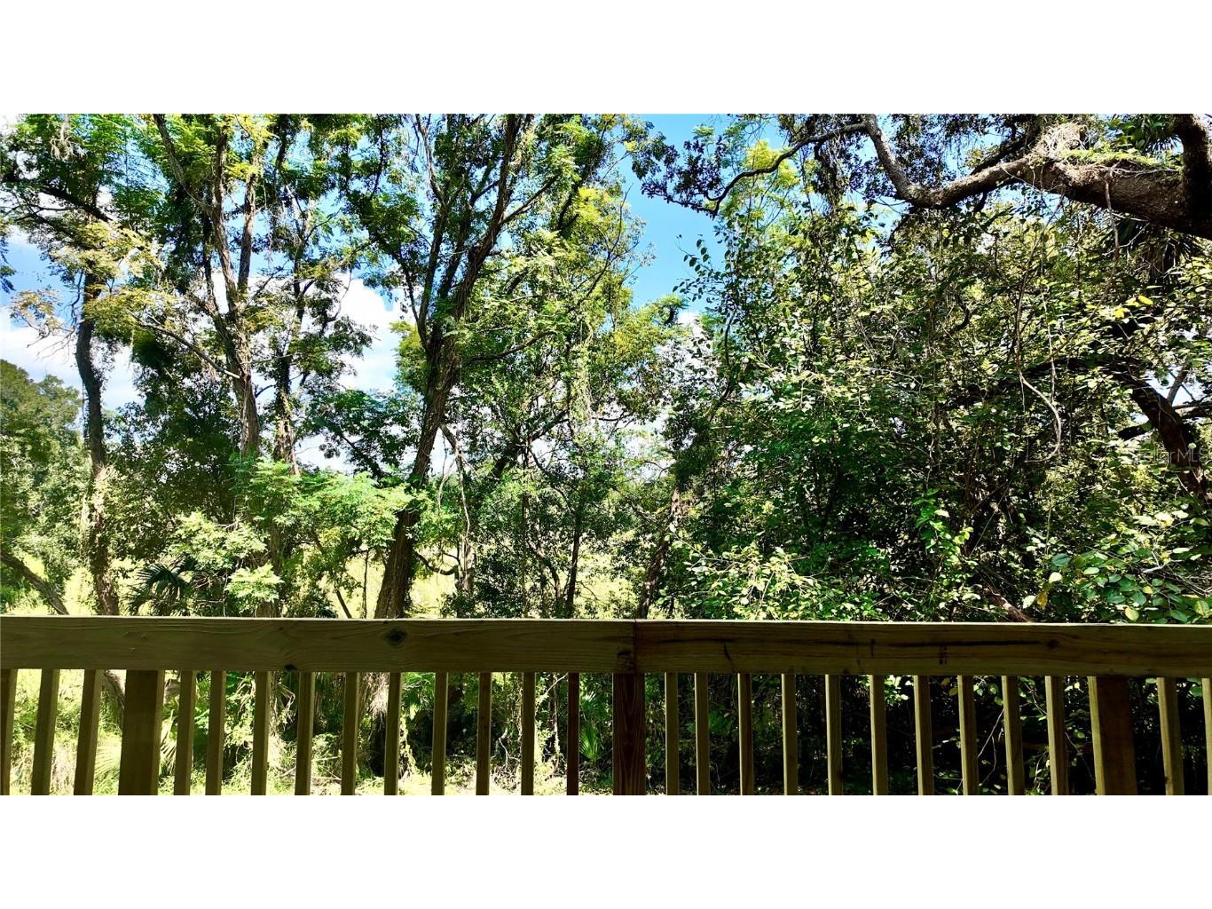 409 S Dixie Avenue Fruitland Park FL 34731 - DREAM LAKE O6346470 image4