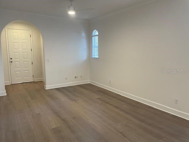 409 S Westland Avenue #3 Tampa FL 33606 TB8498404 image4